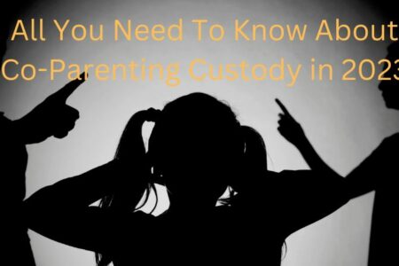 All You Need To Know About Co-Parenting Custody