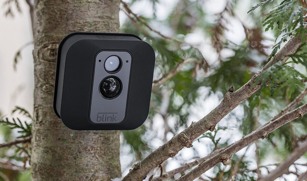 Why Is the Blink Camera Not Detecting Motion? 6 Reasons with Solutions