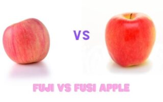 gala vs fuji apples