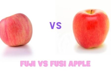 gala vs fuji apples