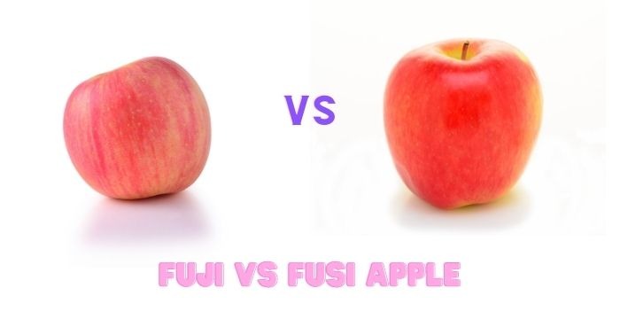 Gala vs. Fuji Apples